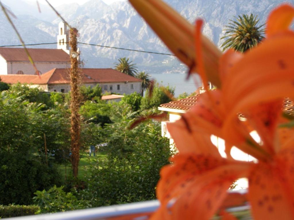 Djurovic Apartments Montenegro Kotor Zimmer foto